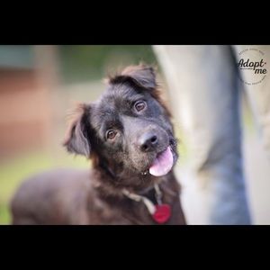 Meet your Posher, Matthew